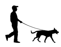 ORDINANZA CANI